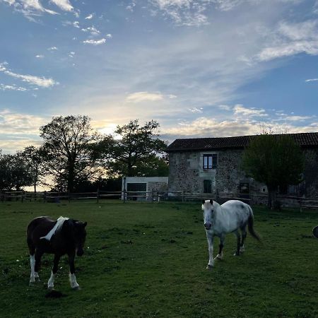 Gite A La Campagne Au Bord D'Un Lac 8 Personnes Saint-Quentin-sur-Charente エクステリア 写真