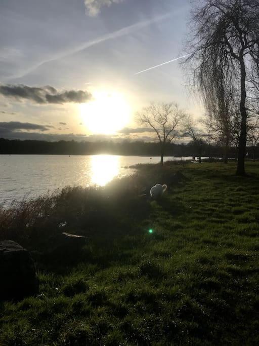 Gite A La Campagne Au Bord D'Un Lac 8 Personnes Saint-Quentin-sur-Charente エクステリア 写真