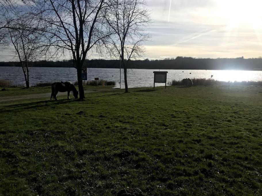 Gite A La Campagne Au Bord D'Un Lac 8 Personnes Saint-Quentin-sur-Charente エクステリア 写真
