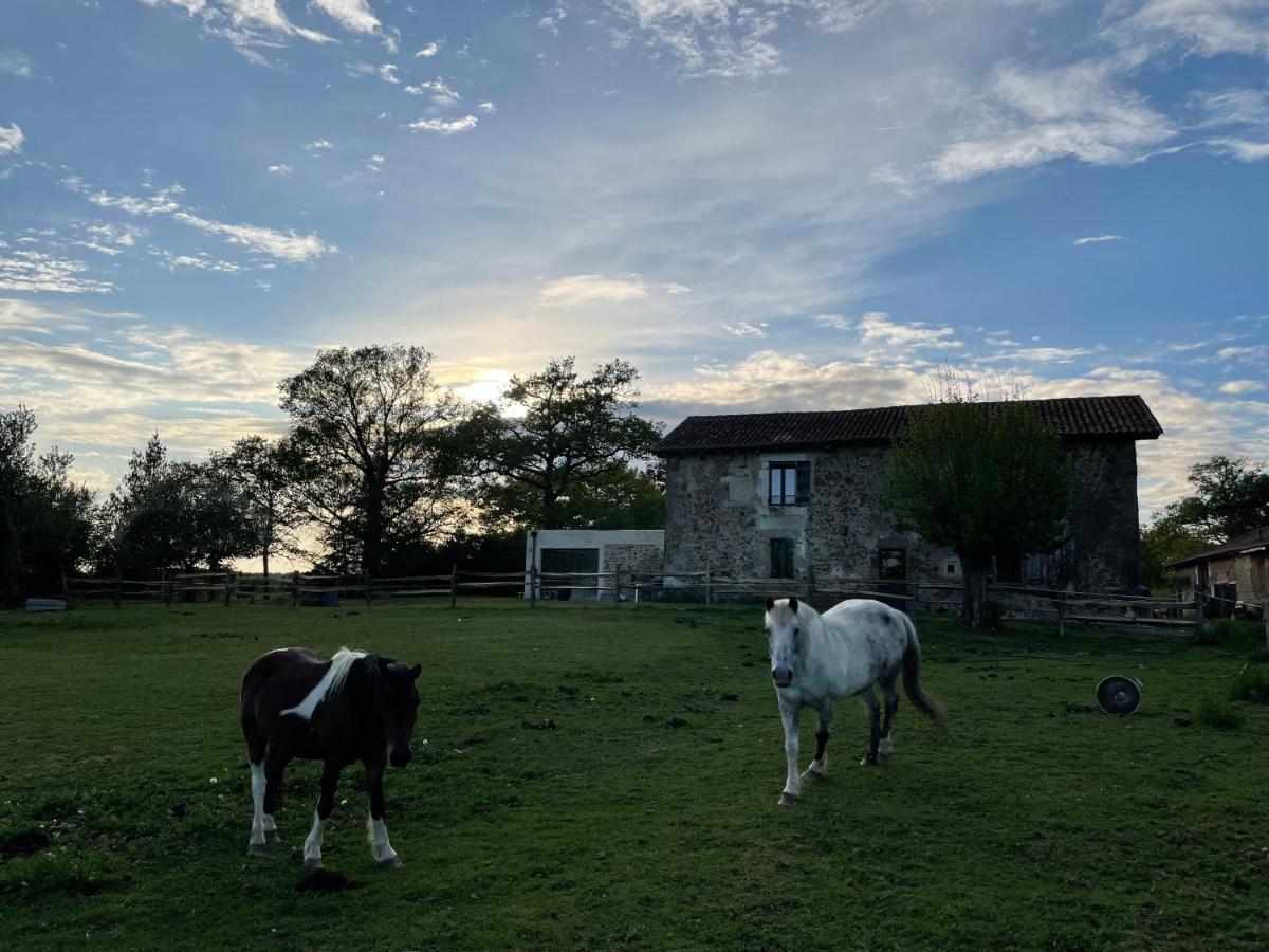 Gite A La Campagne Au Bord D'Un Lac 8 Personnes Saint-Quentin-sur-Charente エクステリア 写真